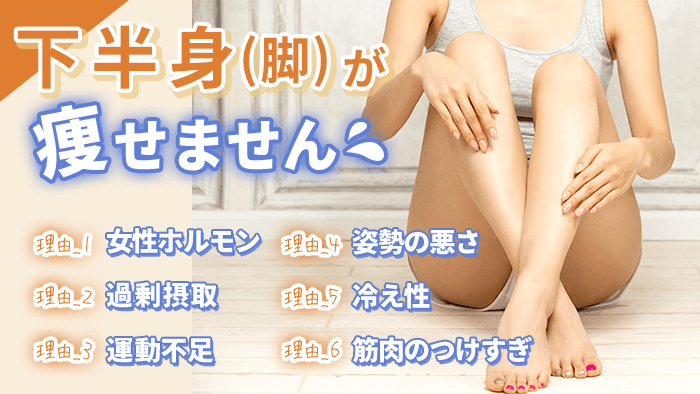 下半身(脚)が痩せにくい理由
