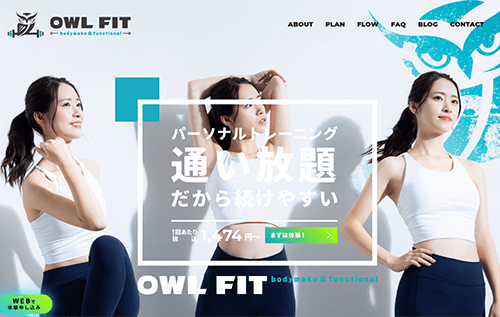 OWL FIT