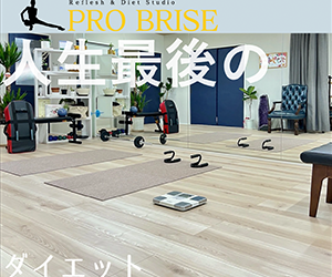 PRO BRISE(プロブリーズ)
