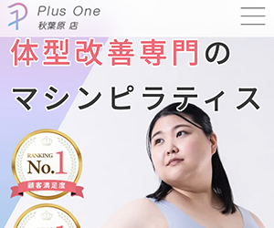 Plus One(プラスワン) 秋葉原店